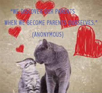 Adult Children -rules