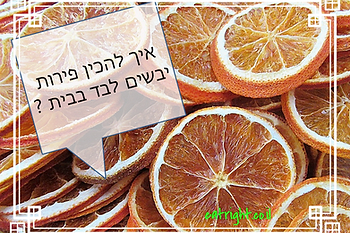 איך להכין פירות יבשים לבד בבית
