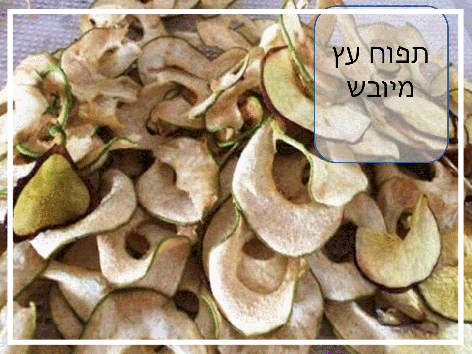 תפוח עץ מיובש