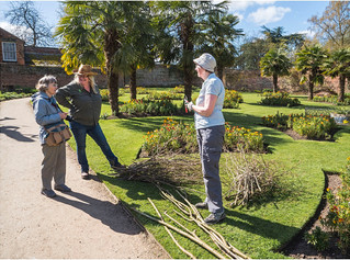 3rd - Garden Chat - David Johnson