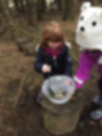 Forest_Cooking