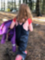 Woodland_Walks