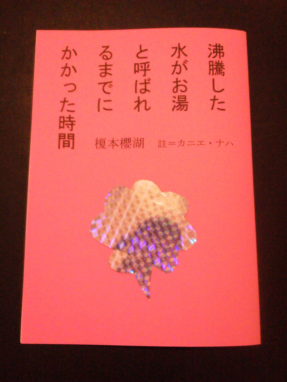 榎本櫻湖×カニエ・ナハ『沸騰した水がお湯と呼ばれるまでにかかった時間』