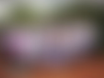 6ª edição do workshop Elas no Café acontece em fevereiro