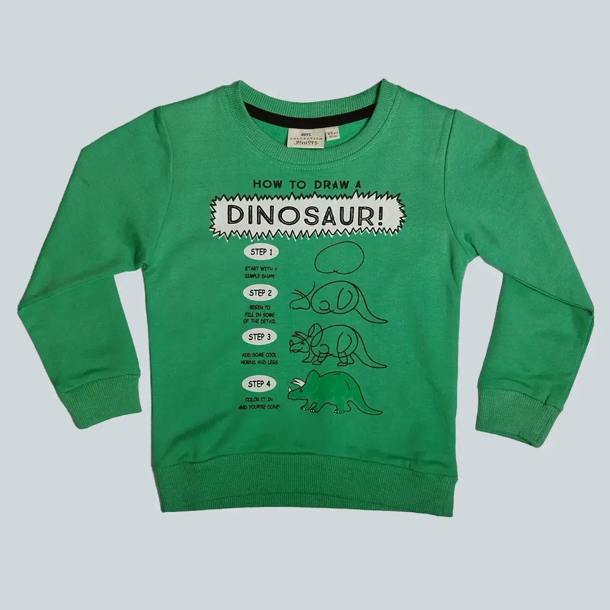 Boys/Girls Sweatshirt Fullsleeve