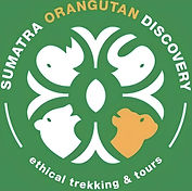 logo.jpeg