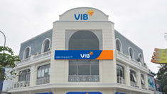 Thiết kế và thi công nội thất văn phòng VIB Đào Tấn Ba Đình, Hà Nội