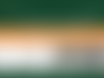 Các loại xây móng nhà phổ biến và mẹo chọn móng phù hợp với đất nền