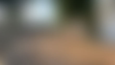 Công tác san lấp mặt bằng công trình sân vườn nhà anh Hưởng tại Thanh Oai, Hà Nội