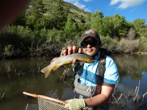 Dry Flies in July!