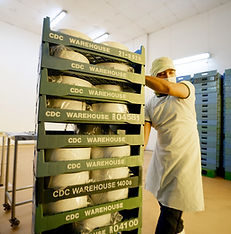 MLI Warehouse v1.jpg