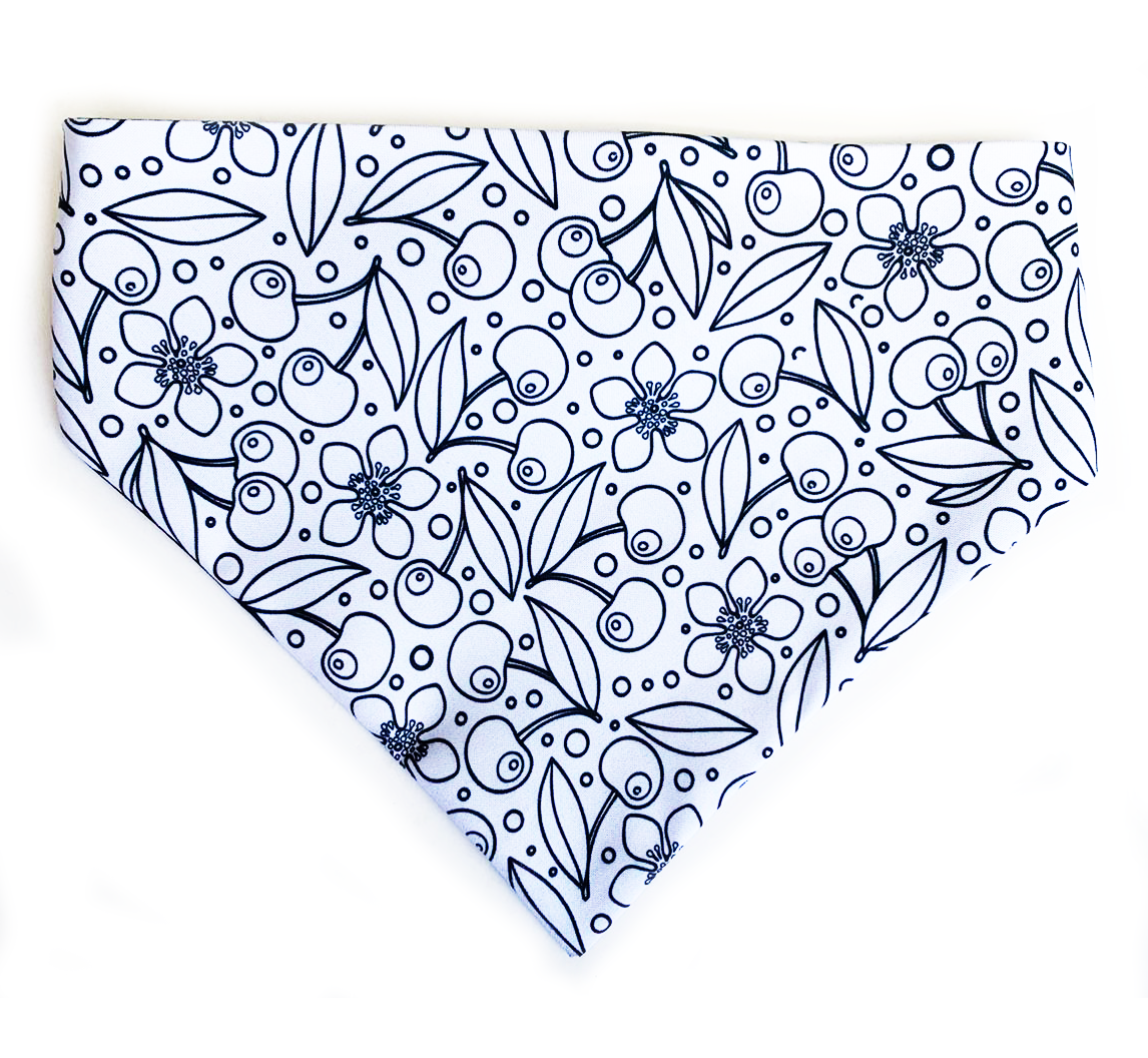 Bandanas para Mascotas "Color Your Paws"