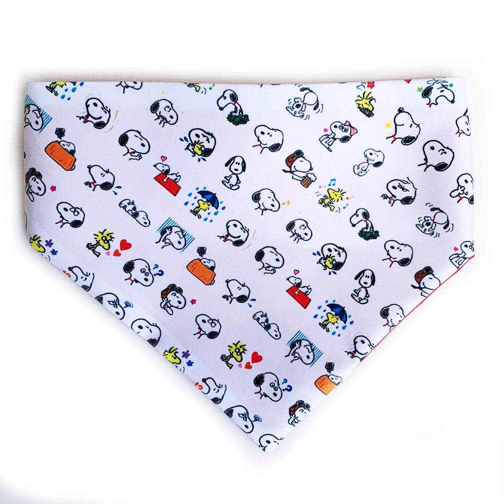 Bandana para mascota Meow y Woof