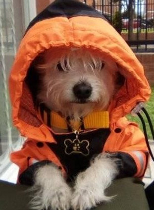 LOIS%20CON%20CHAQUETA%20IMPERMEABLE_edit