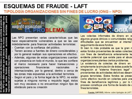 ESQUEMAS DE FRAUDE LAFT - ONG / NPO