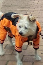 LOIS%2520CON%2520IMPERMEABLE_edited_edit