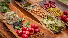 Incorporating Australian Indigenous Cuisine Into Your Meal Plan