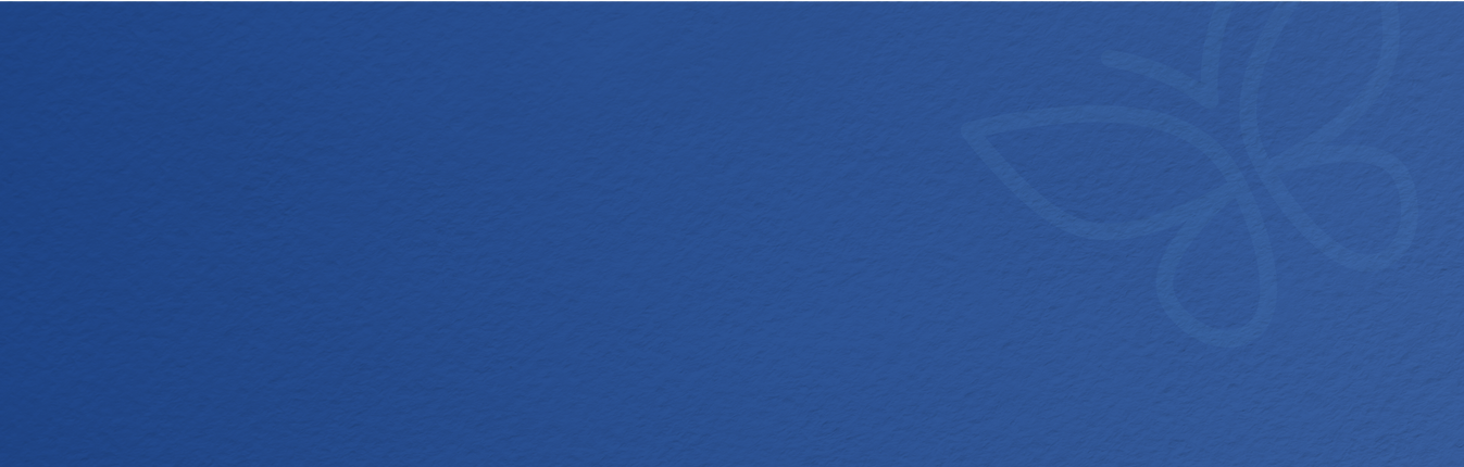 Footer Blue Stripe