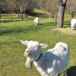 Rodí se jaro! (a my byli u toho)