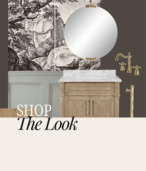 Shop the Look Place Holder (1).jpg