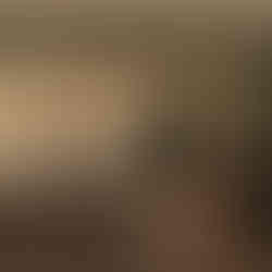 Sage green walls with cream cabinetry for a soft, nature-inspired kitchen palette.