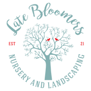 Late Bloomers Nursery and Landscaping logo