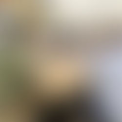 O Prefeito de Santa Rosa do Purus, Tamir Sá, na luta para tirar o município do isolamento