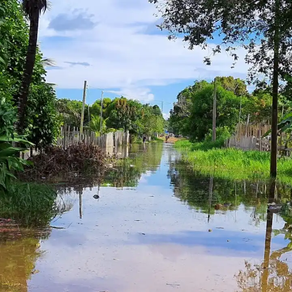 Em Santa Rosa do Purus o Rio volta a Transbordar e mais de 100 pessoas são levadas para os abrigos