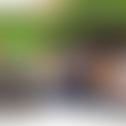 Prefeitura de Santa Rosa do Purus recebe a comitiva de Porto Esperança Ucayali Peru