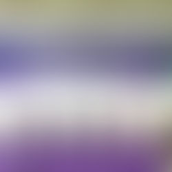 A prefeitura de Santa Rosa do Purus promove o 1º Seminário étnico em defesa da vida das mulheres