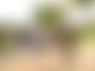 Em Santa Rosa do Purus o 4º PEF realiza a pré-seleção para o Serviço Militar