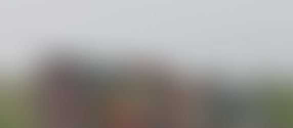 🌿 L'Arrachage des Carottes chez Turbo Cereal 🚜