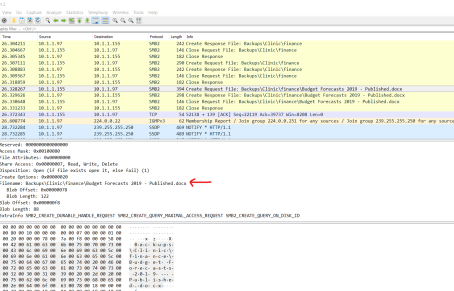 A real business need for network traffic analysis: File activity monitoring