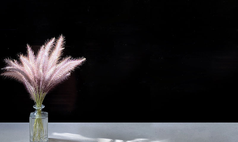 Pampas Flower_edited_edited.jpg