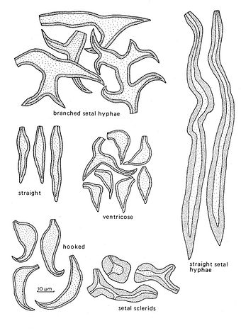 fig_09_edited.jpg
