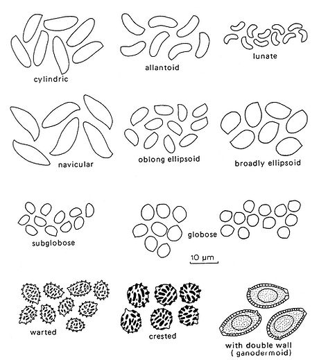 fig_07_edited.jpg