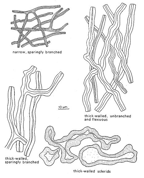 fig_05_edited.jpg
