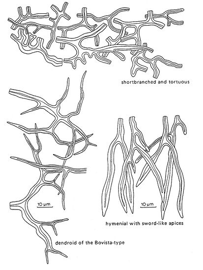 fig_06_edited.jpg