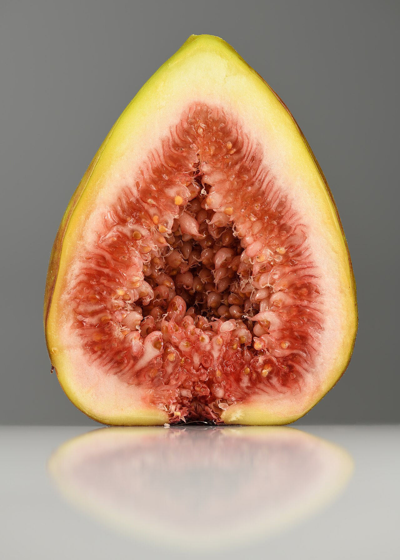 Smith Fig (representative photo)