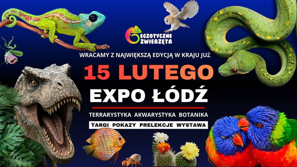 Egzotyczne Zwierzęta Łódź