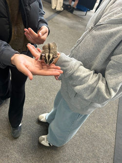 495564099_560399567106370_3641846712663433247_n