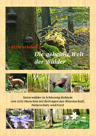 Naturwaldbuch_SH4_Cover17x24.tif