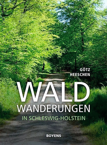 heeschen_waldwandern_low-1_edited_edited