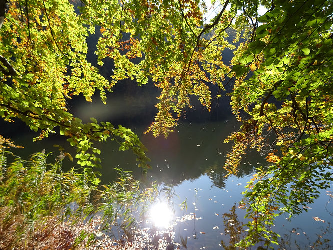 DSC00799.JPG