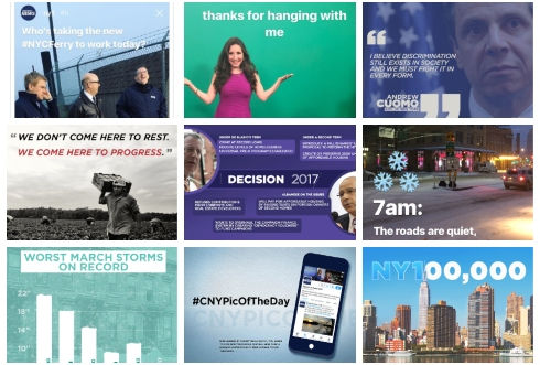 NY1-collage.jpg