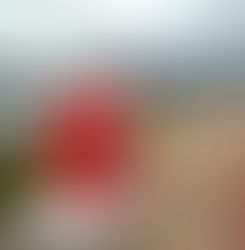 Elefante da RDO, customizado pelo artista Luciano Martins, está exposto na Beira-mar Continental