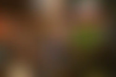 St. Patrick’s Day no Vie Vin