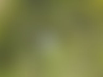 Praia Rica Expedições, agência do Tocantins, recebe prêmio nacional de turismo de aventura