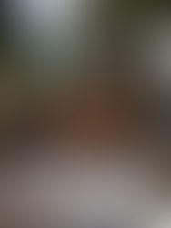 StudioVert Arquitetura no Salone del Mobile Milano 2017