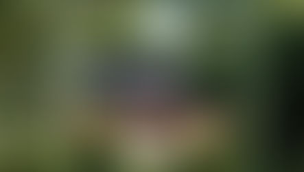 Como os condomínios horizontais estão moldando o mercado imobiliário